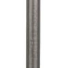 Bosch Professional Spatmeißel SDS-max 80x300mm 1618601008