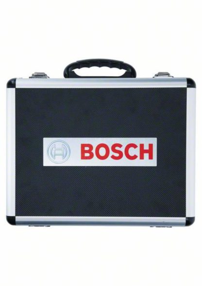 Bosch Professional Hammerbohrer- und Meißel-Set 11-tlg. 2608579916