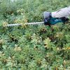 Makita Akku-Heckenschere DUH523Z, 18 V, ohne Akku und Ladegerät im Karton