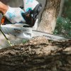 STIHL MS 194 T 30 cm / 71 PM3