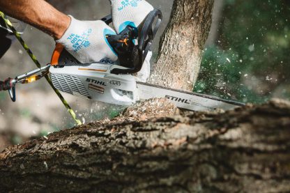 STIHL MS 194 T 30 cm / 71 PM3