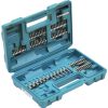 Makita Akku-Stabschrauber DF001DW mit 81tlg. Zubehör