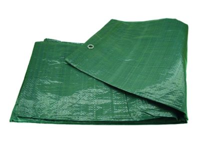 Gewebeplane mit Ösen 2x3 m